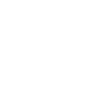 Neurogen Logo